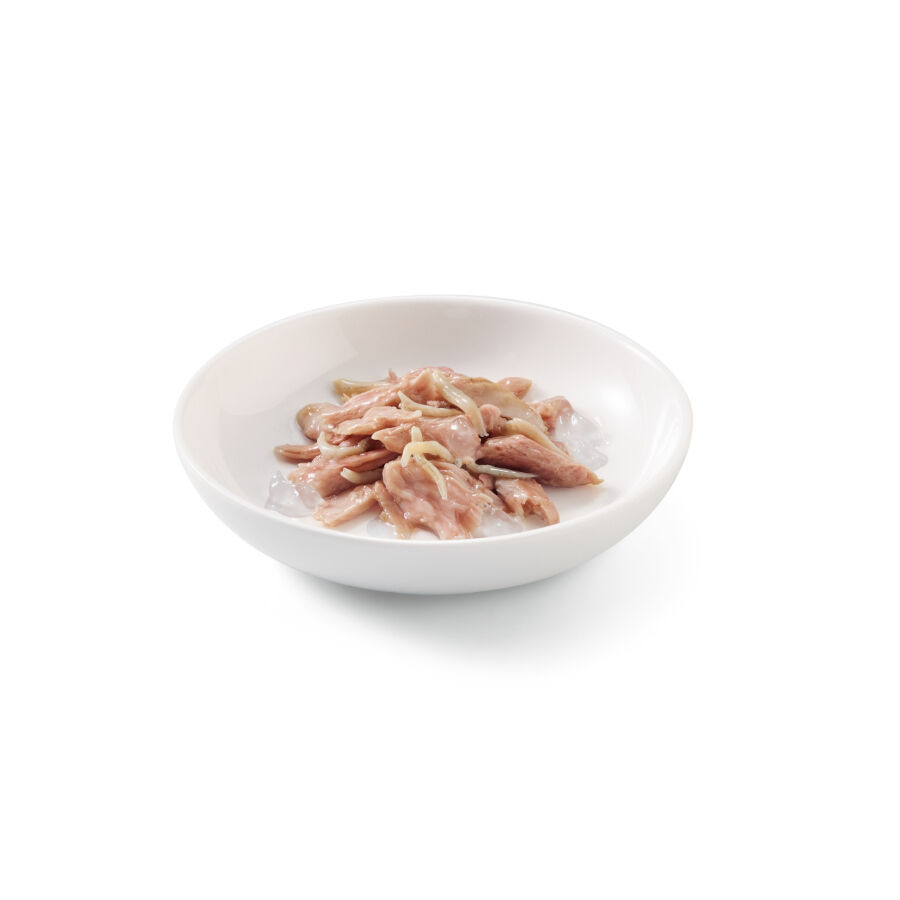 85 g Schesir Adult Atum com Chanquete saqueta para gatos, , large Imagem n&uacute;mero 2